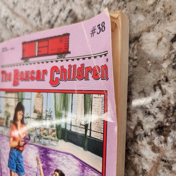 The Boxcar Children 10 in the series 30, 31, 34, 35, 37, 38, 39, 40, 58 +special - Picture 5 of 5